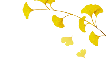 404_bough